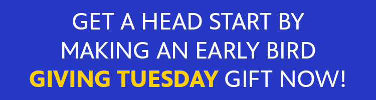 Get a head start by making an earlybird Giving Tuesday gift now!